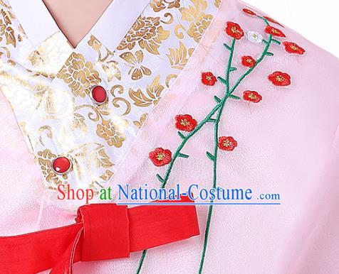 Korean Children Performance Garment Costumes Asian Traditional Hanbok Clothing Korea Girl Birthday Embroidered Pink Blouse and Red Dress