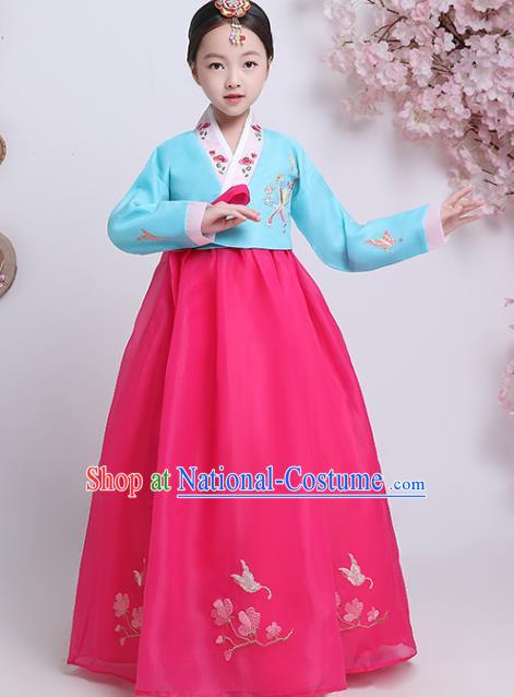 Korean Court Princess Garment Costumes Asian Korea Children Embroidered Blue Blouse and Rosy Dress Traditional Girl Hanbok Clothing