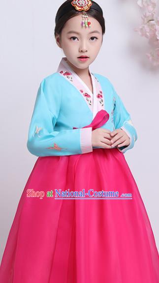 Korean Court Princess Garment Costumes Asian Korea Children Embroidered Blue Blouse and Rosy Dress Traditional Girl Hanbok Clothing