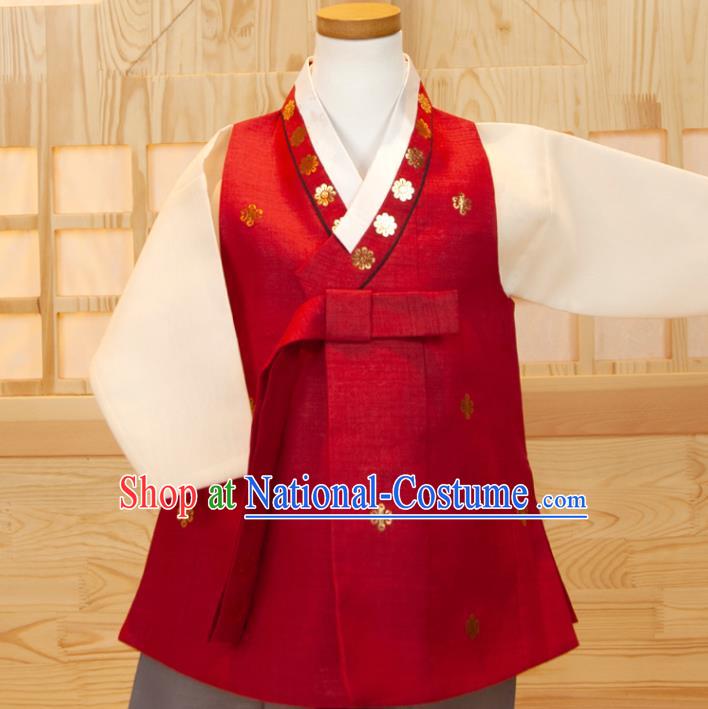 Korea Children Garment Costumes Boys Birthday Hanbok Korean Traditional Fashion Clothing Red Vest White Shirt and Grey Pants