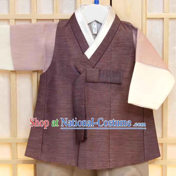 Korean Children Garment Purple Vest Pink Shirt and Grey Pants Boys Prince Birthday Hanbok Costumes Korea Traditional Fashion Clothing