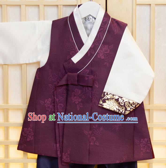 Korean Traditional Fashion Clothing Children Garment Purple Vest White Shirt and Navy Pants Korea Boys Prince Birthday Hanbok Costumes