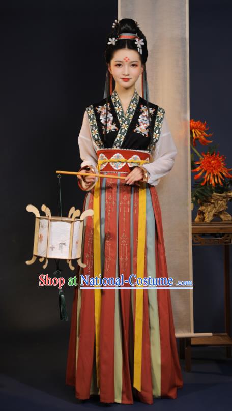 China Tang Dynasty Court Dance Historical Clothing Ancient Noble Infanta Embroidered Hanfu Dress Garments for Women