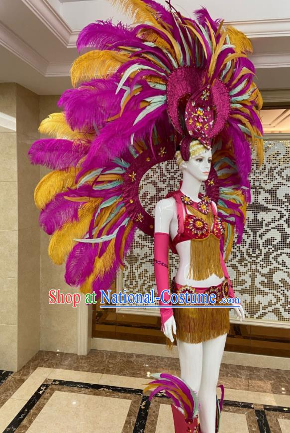 Miami Deluxe Rosy Feathers Wings and Headdress Brazilian Carnival Props Professional Samba Dance Clothing