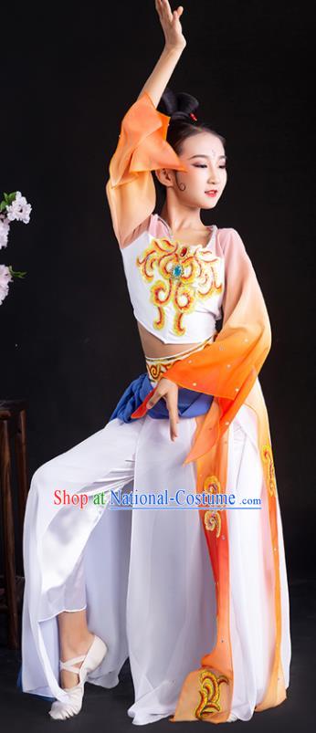 China Children Classical Dance Costumes Girl Stage Performance Dancewear Court Dance Clothing Palace Fan Dance Outfits