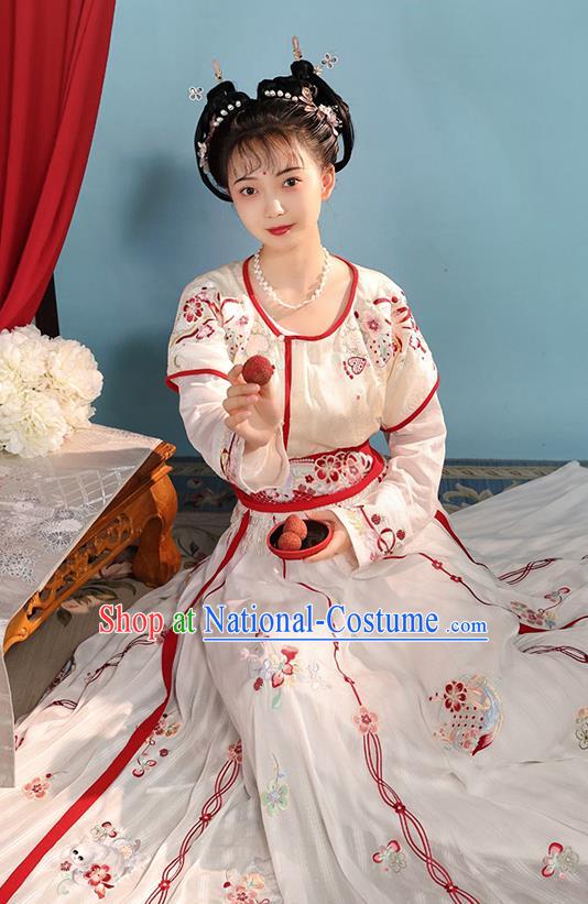 China Ancient Palace Beauty Garment Costumes Tang Dynasty Royal Princess Historical Clothing Traditional Hanfu Dresses for Women