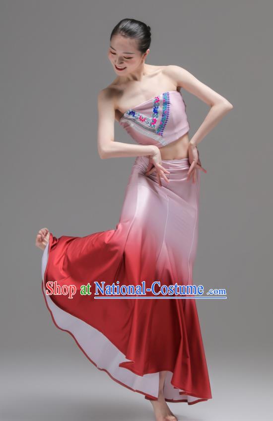 Chinese Yunnan Nationality Clothing Peacock Dance Costumes Ethnic Woman Garments Dai Minority Performance Pink Dress Outfits