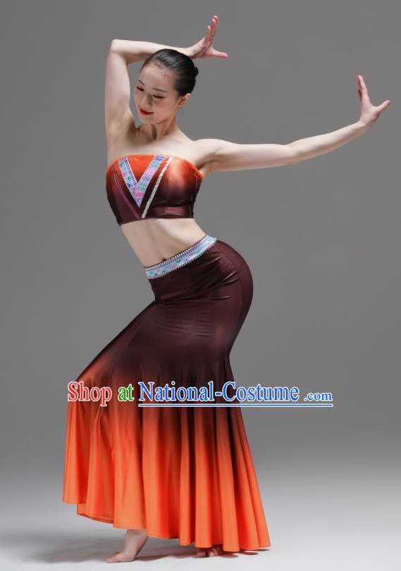 Chinese Dai Minority Performance Orange Dress Outfits Yunnan Nationality Clothing Peacock Dance Costumes Ethnic Woman Garments