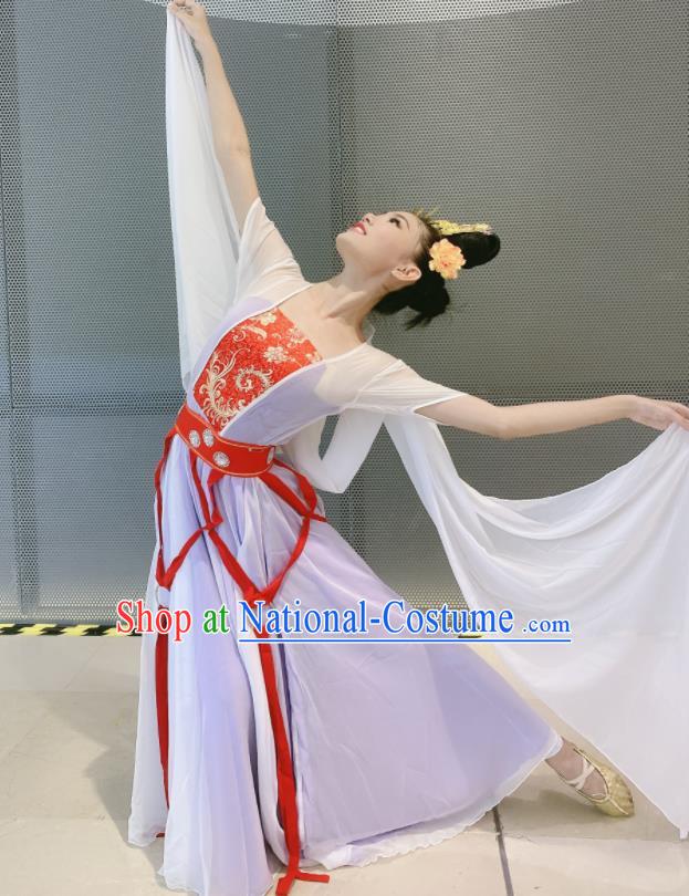 China Moon Fairy Dance Costumes Women Group Dance Clothing Classical Dance Lilac Dress Stage Performance Outfits