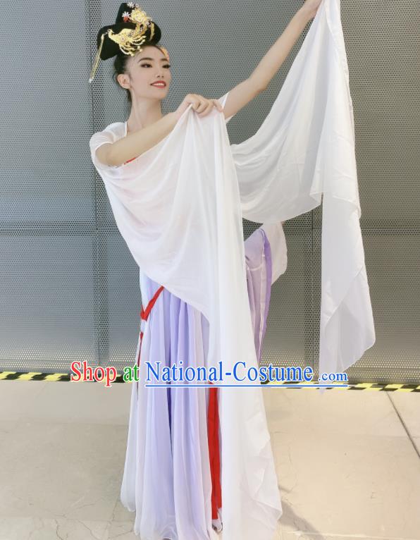 China Moon Fairy Dance Costumes Women Group Dance Clothing Classical Dance Lilac Dress Stage Performance Outfits