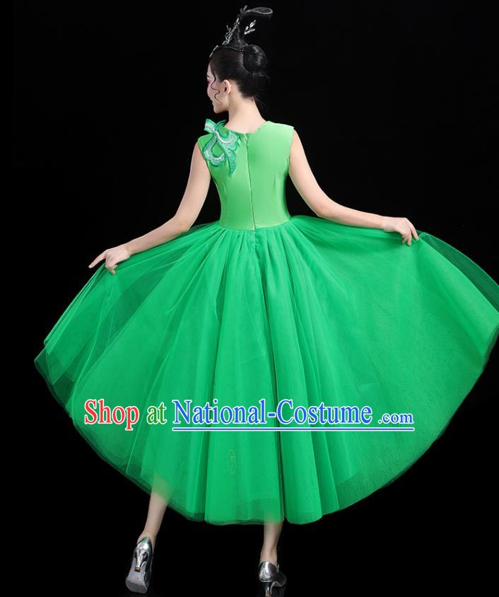 Professional China Opening Dance Green Veil Dress Women Group Dance Costumes Chorus Performance Garments Modern Dance Clothing