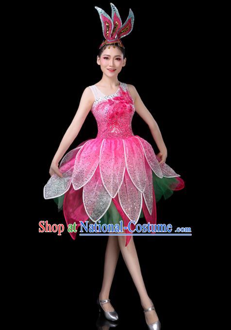 Professional China Modern Dance Clothing Opening Dance Pink Dress Women Group Dance Costume Lotus Dance Garments