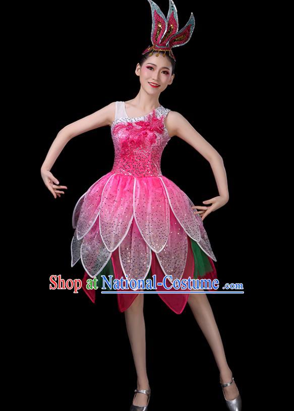 Professional China Modern Dance Clothing Opening Dance Pink Dress Women Group Dance Costume Lotus Dance Garments