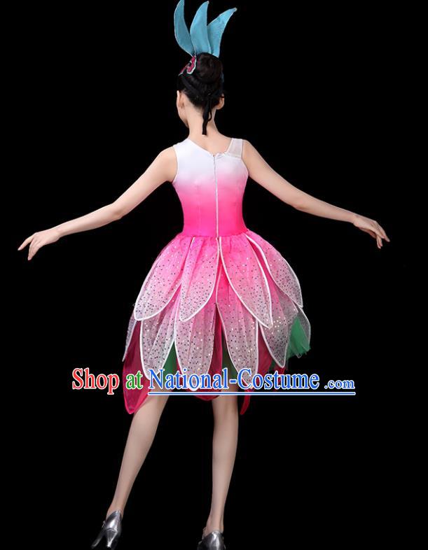 Professional China Modern Dance Clothing Opening Dance Pink Dress Women Group Dance Costume Lotus Dance Garments