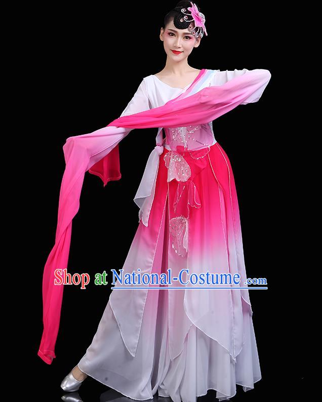 China Classical Dance Clothing Umbrella Dance Garment Costumes Water Sleeve Dance Pink Dress Jinghong Dance Outfits Woman Dancewear