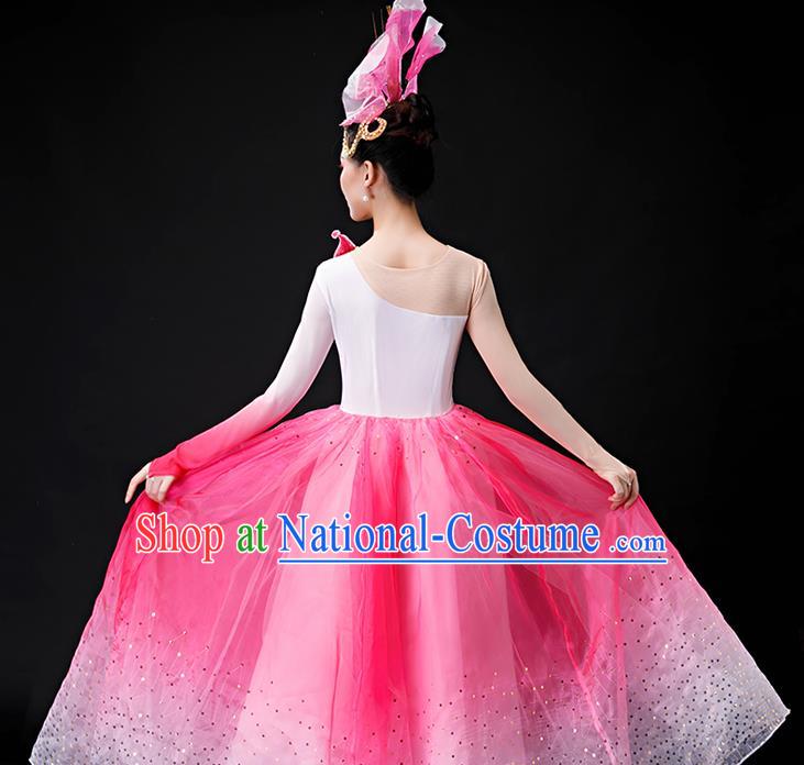 Professional Women Group Dance Fashion Peony Dance Performance Costume Modern Dance Pink Dress Opening Dance Garment