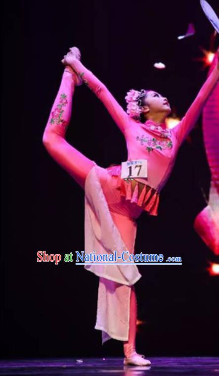 China Fan Dance Costumes Yangko Dance Outfits Women Group Dance Fashions Folk Dance Rosy Uniforms