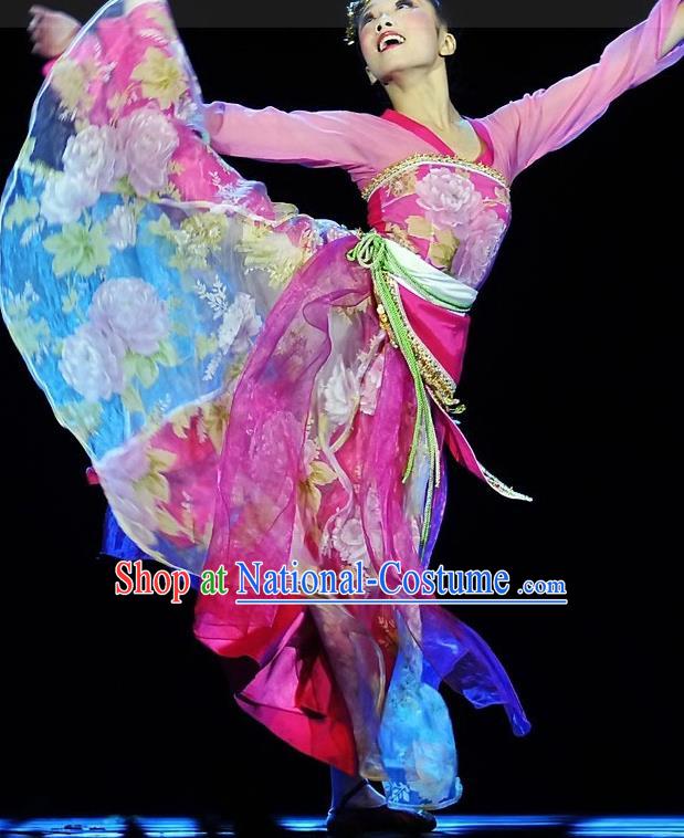 Chinese Classical Dance Garment Costumes Beauty Stage Performance Rosy Dress Outfits Woman Hanfu Dance Clothing