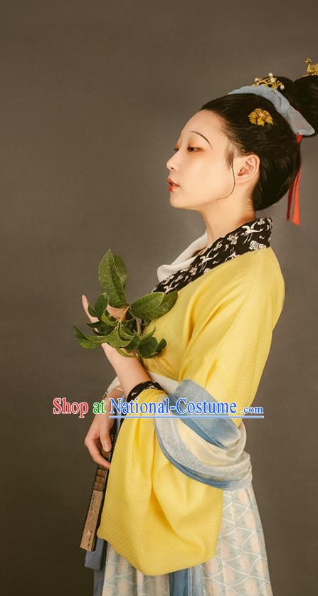 China Traditional Court Beauty Historical Costume Ancient Palace Lady Clothing Song Dynasty Imperial Consort Hanfu Dresses