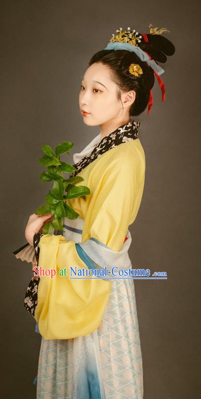 China Traditional Court Beauty Historical Costume Ancient Palace Lady Clothing Song Dynasty Imperial Consort Hanfu Dresses