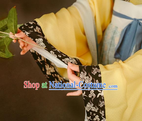 China Traditional Court Beauty Historical Costume Ancient Palace Lady Clothing Song Dynasty Imperial Consort Hanfu Dresses