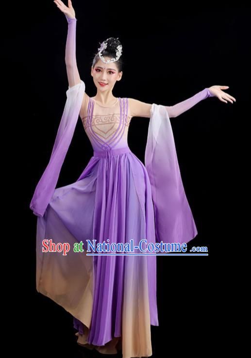 Chinese Classical Dance Clothing Woman Solo Dance Purple Dress Fairy Dance Costume Stage Performance Fashion