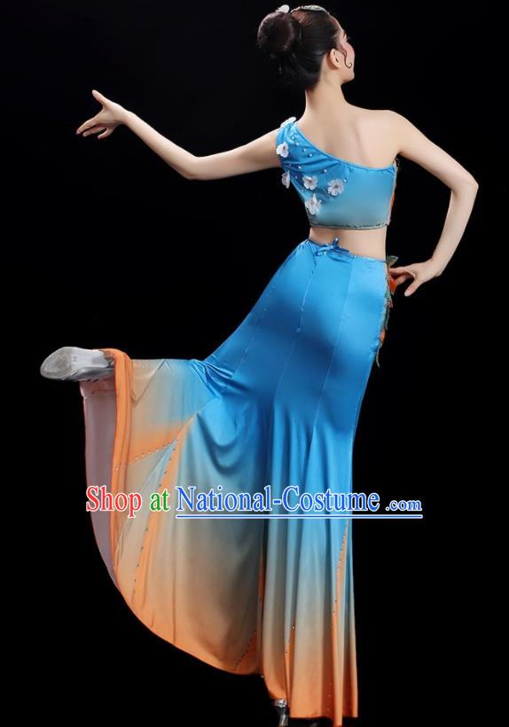 Chinese Woman Solo Dance Dress Dai Nationality Dance Costume Stage Performance Blue Outfit Peacock Dance Clothing