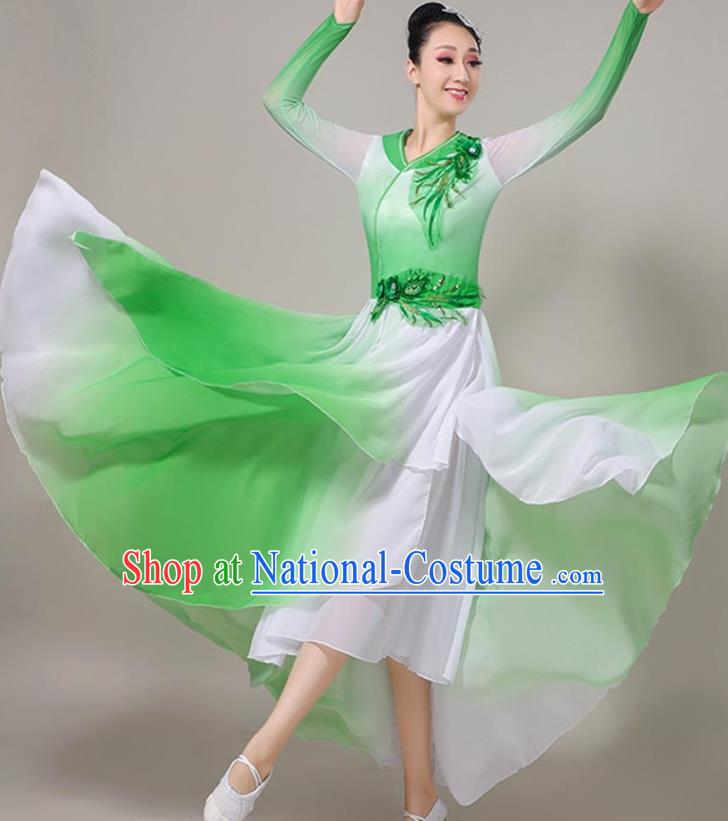 Professional Opening Dance Garment Modern Dance Green Dress Chinese Classical Dance Clothing