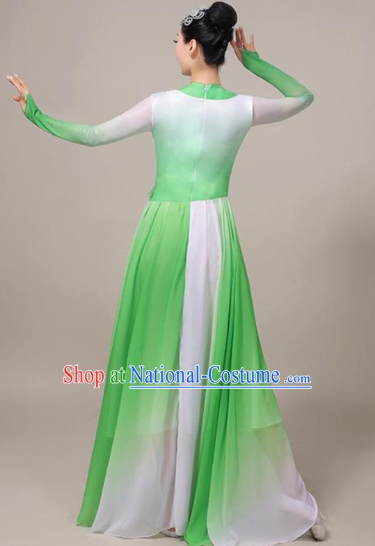 Professional Opening Dance Garment Modern Dance Green Dress Chinese Classical Dance Clothing