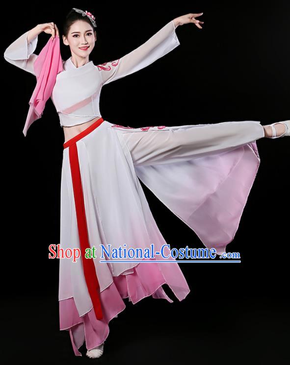 China Classical Dance Dress Stage Performance Clothing Fan Dance Garment Costume