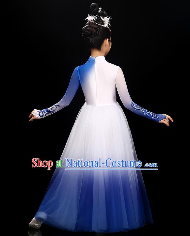 Chinese Traditional Dancewear Children Modern Dance Clothing Opening Dance Garment Costume Classical Dance Royal Blue Dress