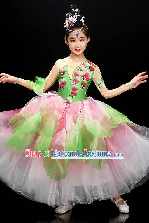 Chinese Children Flowers Dance Clothing Opening Dance Garment Costume Chorus Singing Dress Classical Dancewear