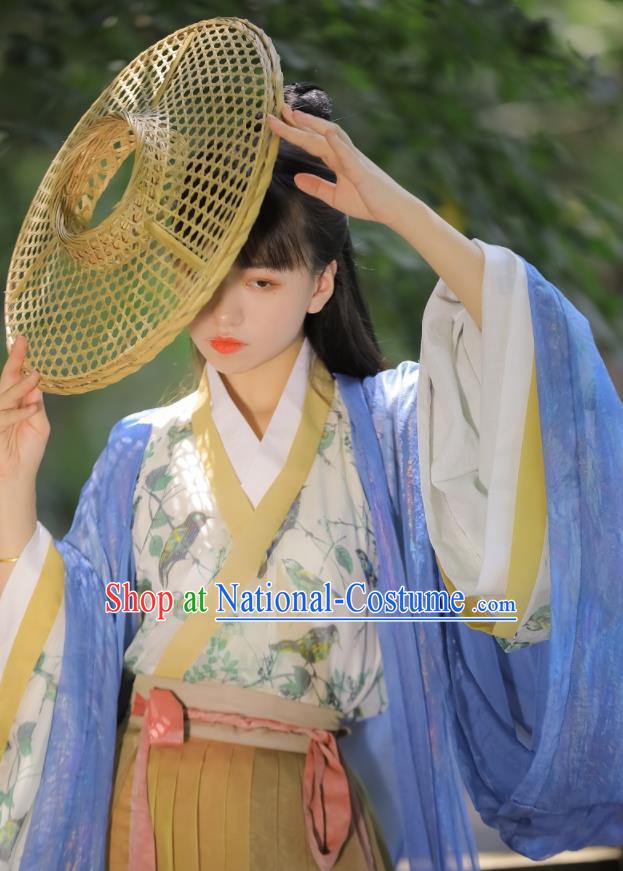 Chinese Ancient Swordswoman Dress Garments Jin Dynasty Historical Costumes Traditional Hanfu Young Lady Clothing