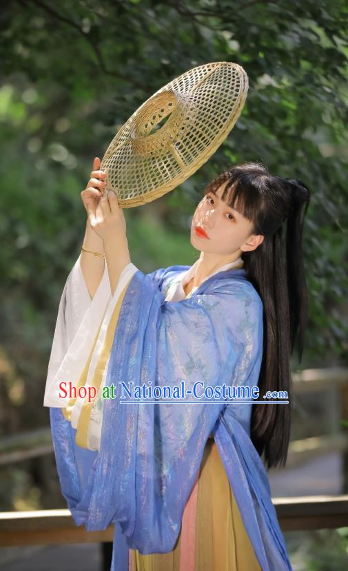 Chinese Ancient Swordswoman Dress Garments Jin Dynasty Historical Costumes Traditional Hanfu Young Lady Clothing