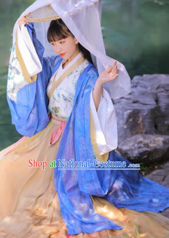 Chinese Ancient Swordswoman Dress Garments Jin Dynasty Historical Costumes Traditional Hanfu Young Lady Clothing