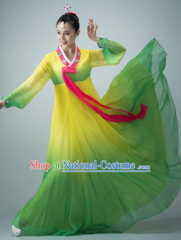 Chinese Classical Dance Dress Korean Nationality Dance Clothing Women Stage Performance Costume