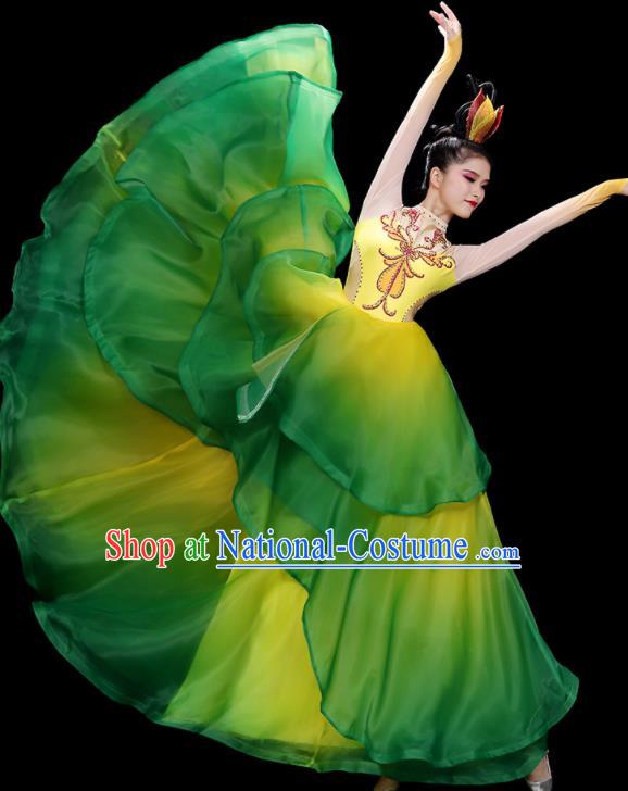 China Flower Dance Costume Stage Performance Garments Modern Dance Clothing Opening Dance Green Dress