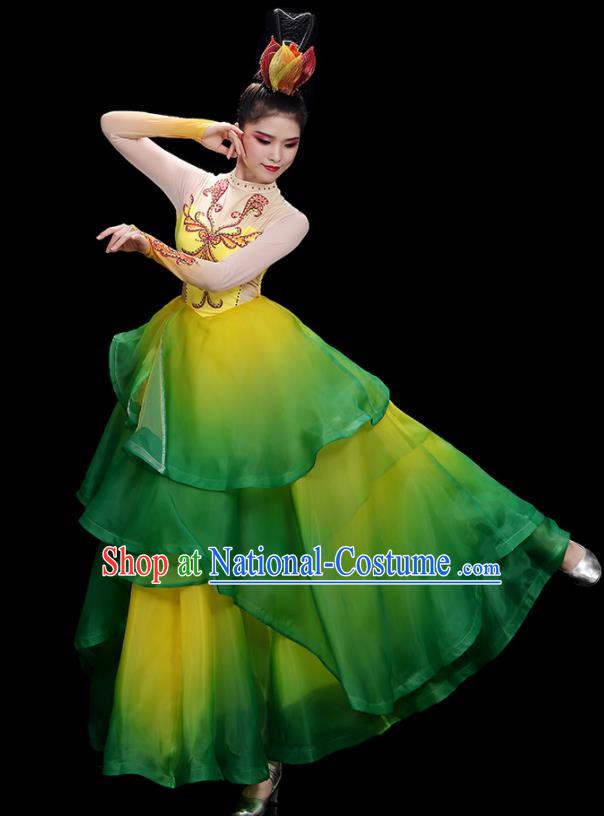 China Flower Dance Costume Stage Performance Garments Modern Dance Clothing Opening Dance Green Dress