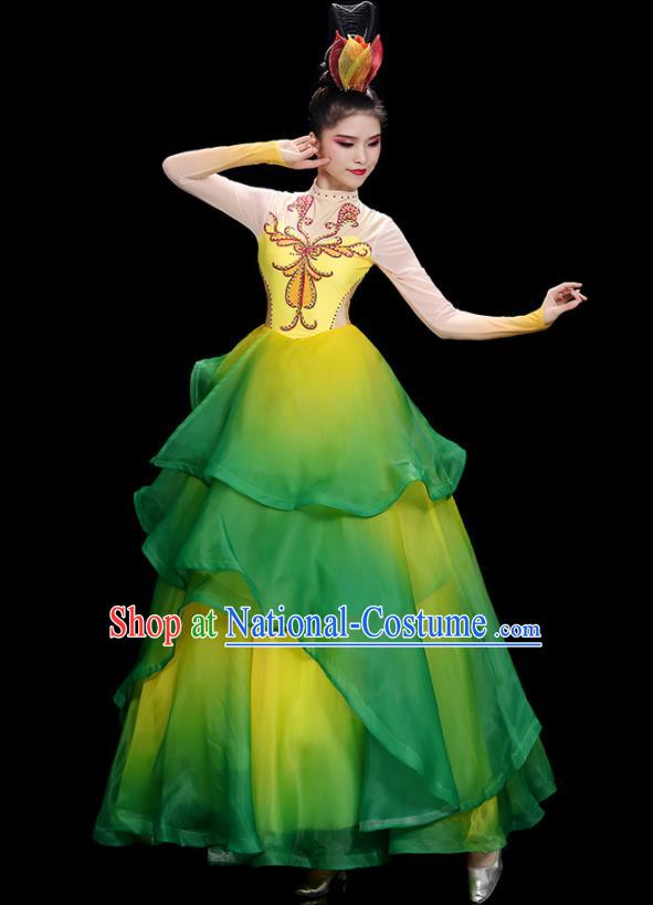 China Flower Dance Costume Stage Performance Garments Modern Dance Clothing Opening Dance Green Dress