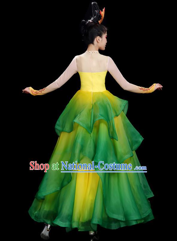 China Flower Dance Costume Stage Performance Garments Modern Dance Clothing Opening Dance Green Dress