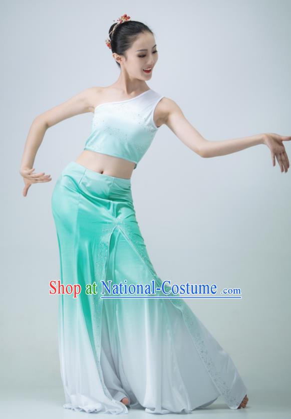 Chinese Stage Performance Garment Peacock Dance Clothing Dai Nationality Pavane Costume Classical Dance Green Dress