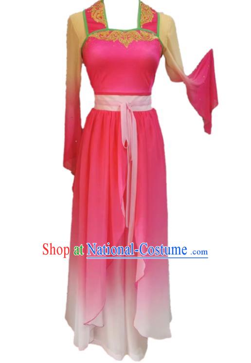 Chinese Beauty Dance Garment Costumes Classical Dance Clothing Women Stage Performance Pink Dress