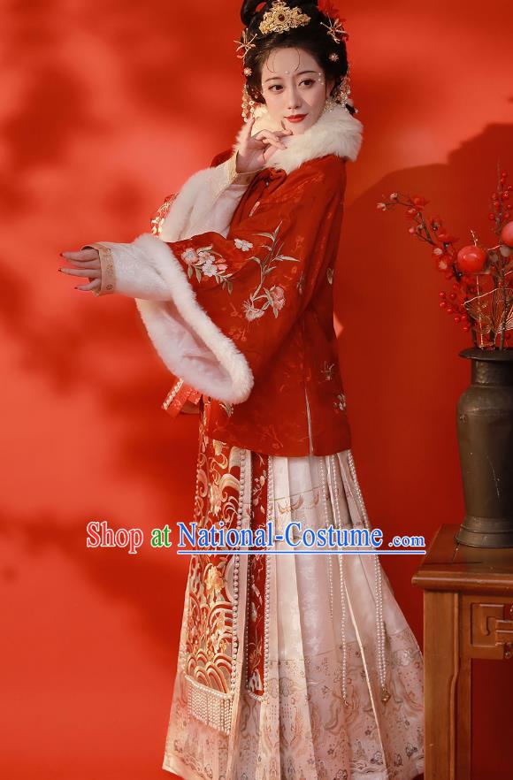 Chinese Traditional Winter Garment Clothing Ancient Rich Lady Dresses Ming Dynasty Costumes