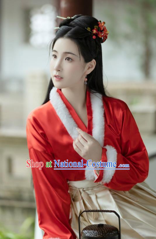 Chinese Song Dynasty Young Lady Costumes Ancient Noble Woman Clothing Traditional Winter Red Hanfu Dresses