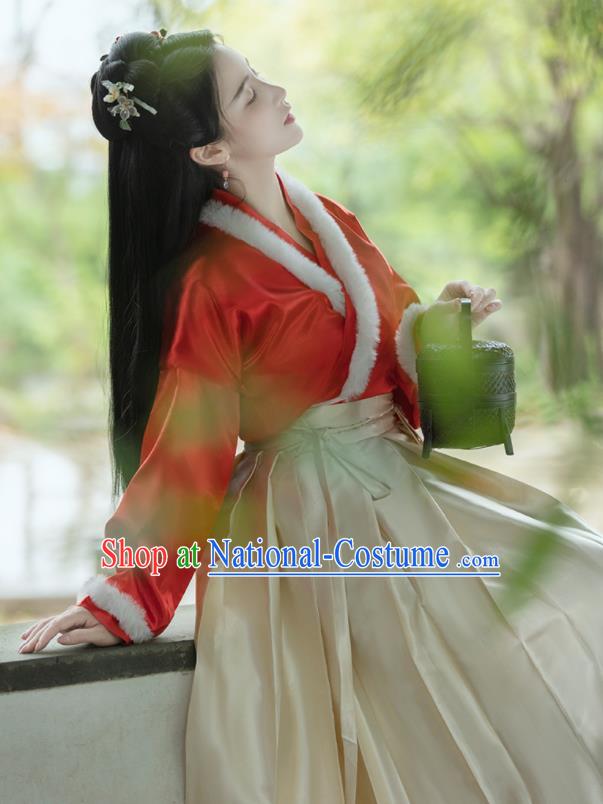 Chinese Song Dynasty Young Lady Costumes Ancient Noble Woman Clothing Traditional Winter Red Hanfu Dresses