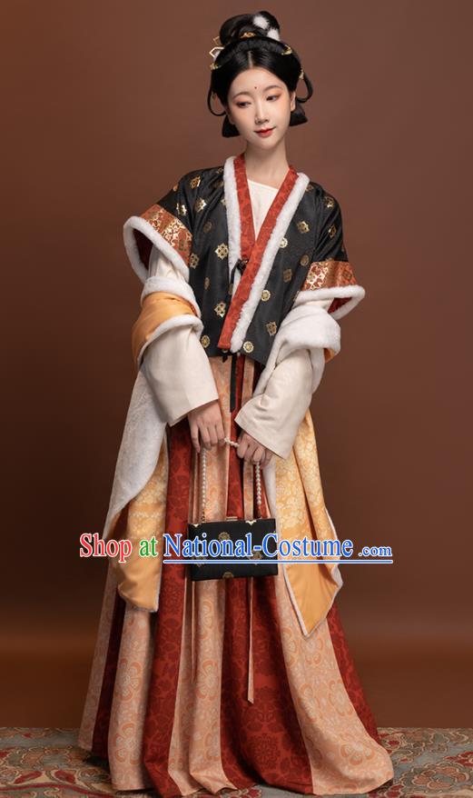 Chinese Ancient Palace Lady Clothing Winter Traditional Hanfu Dresses Tang Dynasty Young Beauty Garment Costumes