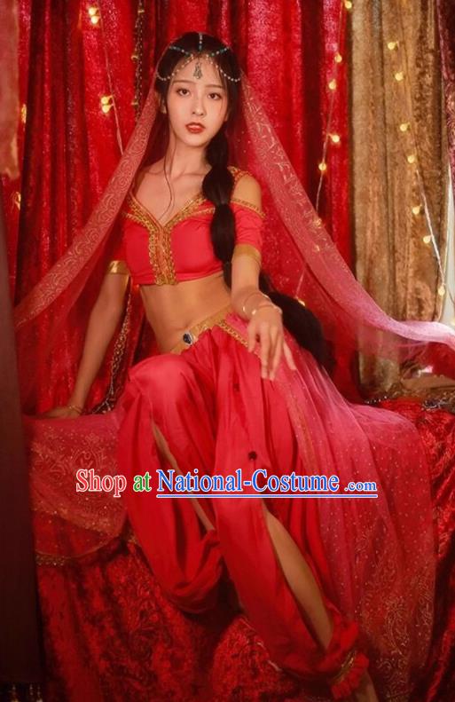 Top Stage Performance Costume Arab Middle East Princess Clothing Belly Dance Pink Outfit