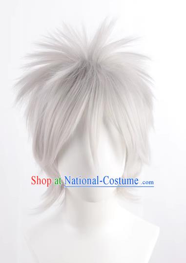 Silver Gray Hatake Kakashi Style Fluffy Men s Short Hair Cosplay Wig