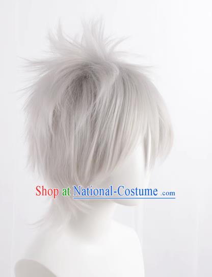 Silver Gray Hatake Kakashi Style Fluffy Men s Short Hair Cosplay Wig