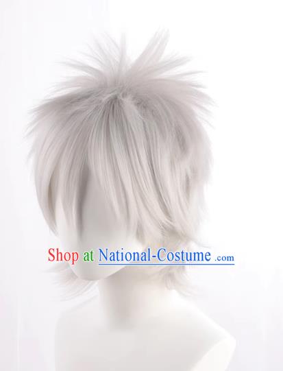 Silver Gray Hatake Kakashi Style Fluffy Men s Short Hair Cosplay Wig